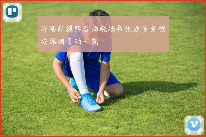 海港新援阵容揭晓杨希张源克劳德安佩姆号码一览
